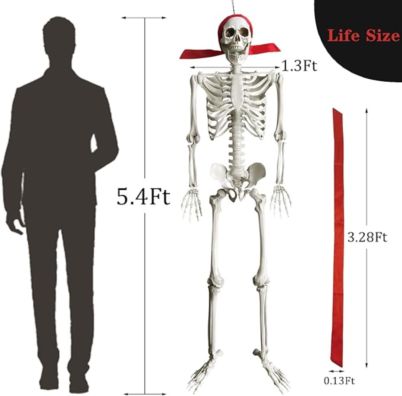 5.4Ft Halloween Skeleton,Life Size Skeleton Halloween Decor Full Body Skeleton with Movable Joints Posable Skeletons Halloween Decorations Large Skeleton Haunted Props Indoor Outdoor